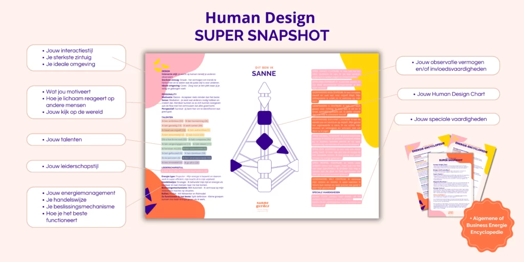 Human Design Super Snapshot - Energetisch CV